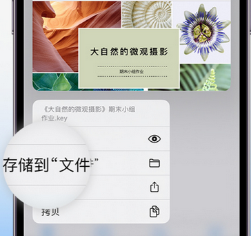 克东apple维修中心分享iPhone文件应用中存储和找到下载文件