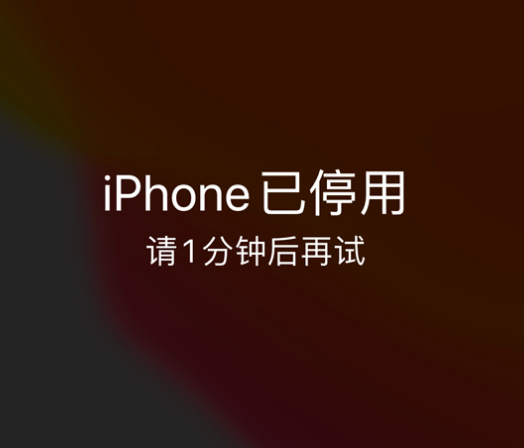 克东苹果手机维修分享:iPhone 显示“不可用”或“已停用”怎么办？还能保留数据吗？ 