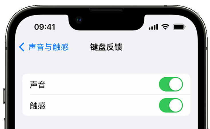 克东苹果手机维修分享iPhone 14触感键盘使用方法 