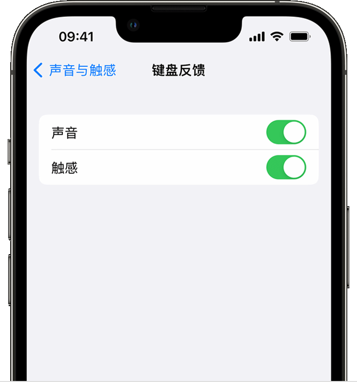 克东苹果14维修店分享如何在 iPhone 14 机型中使用触感键盘 