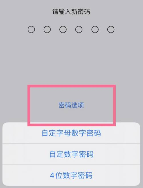 克东苹果14维修分享iPhone 14plus设置密码的方法 