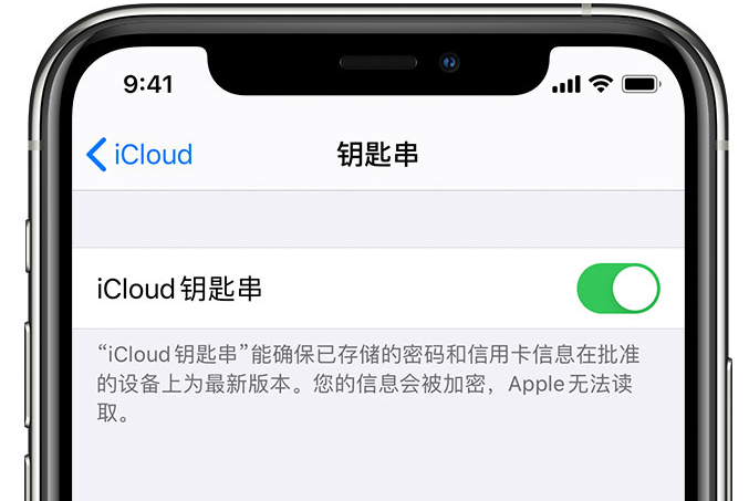 克东苹果手机维修分享在 iPhone 上开启 iCloud 钥匙串之后会储存哪些信息 