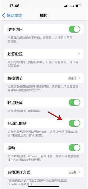 克东苹果手机维修分享iPhone手机如何设置摇一摇删除文字 